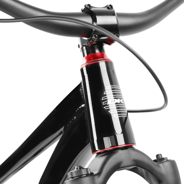 DK Asterik 26" Dirt Jumper