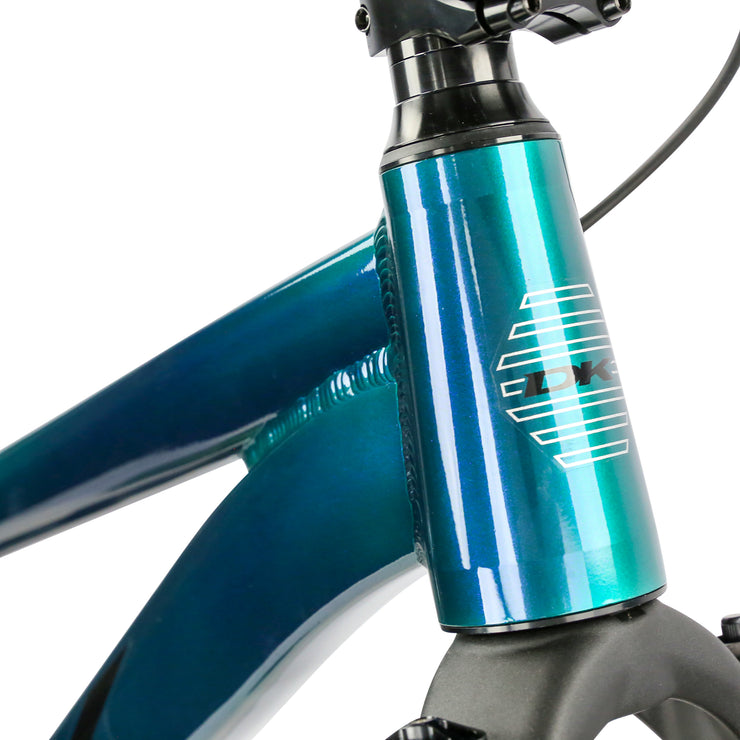 DK Asterik 26" Dirt Jumper